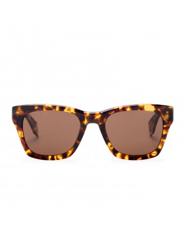 DEAN - AMBER TORTOISE + BROWN POLARIZED SUNGLASSES acheter