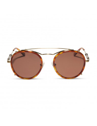 OBI-WAN™ - DESERT TORTOISE + BROWN POLARIZED SUNGLASSES livraison gratuite