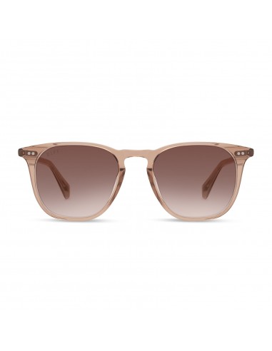 MAXWELL - CAFE OLE + BROWN GRADIENT + POLARIZED SUNGLASSES pour bénéficier 