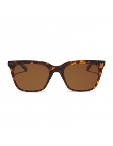 BILLIE XL - RICH TORTOISE + BROWN + POLARIZED SUNGLASSES une grave pollution 