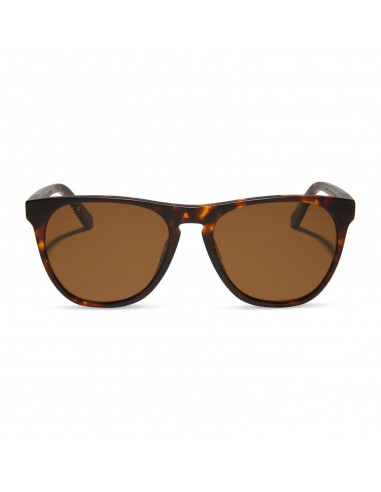 DARREN - MATTE RICH TORTOISE + BROWN + POLARIZED SUNGLASSES chez Cornerstreet bien 