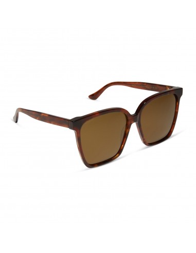 NAOMI - SALTED CARAMEL TORTOISE + BROWN + POLARIZED SUNGLASSES une grave pollution 